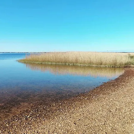 6 Person In Ringkøbing
